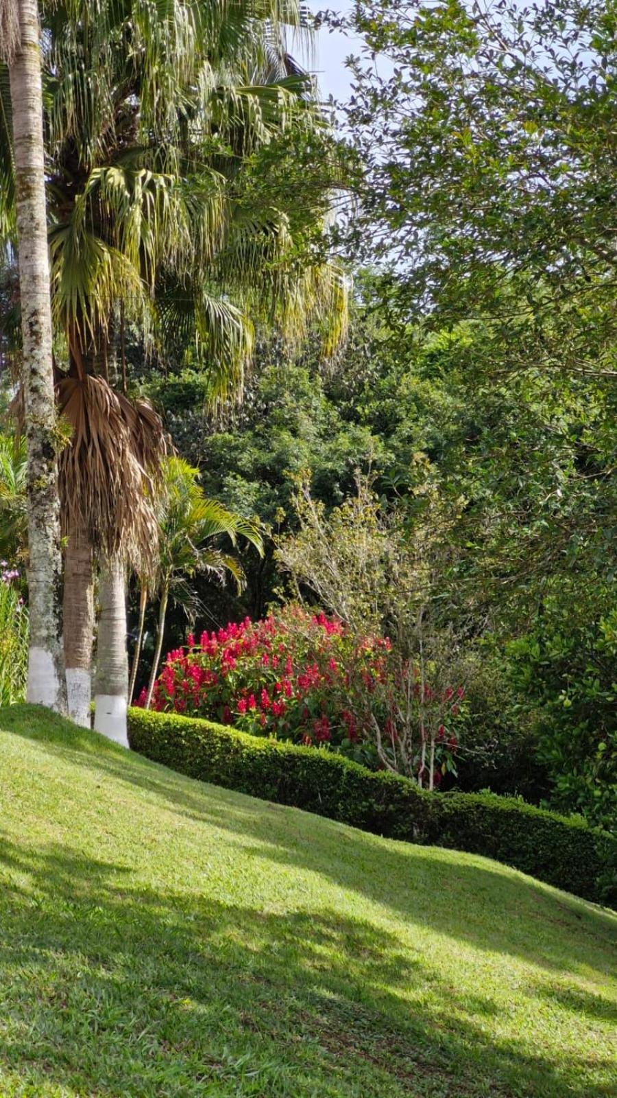 Boutique Mercedes Inn Extrema